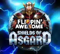 Flippin Awesome Shields of Asgard